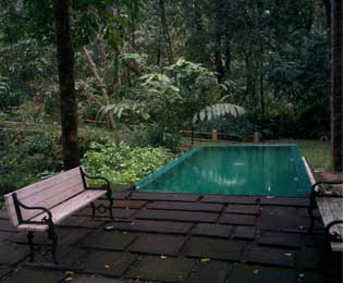 Best Jungle Resort In India, best resorts in idukki