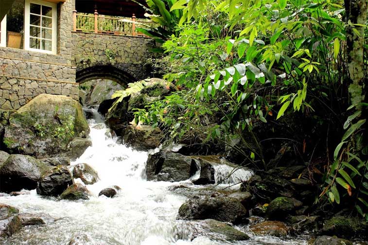 Best Hideout Resorts In Kerala For Family