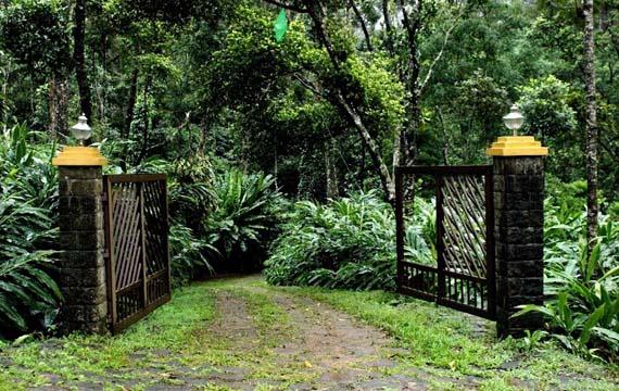 Best Honeymoon Resorts In Kerala, Forest Stay In Kerala